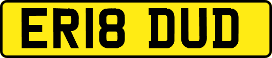 ER18DUD