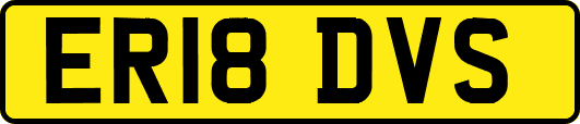 ER18DVS