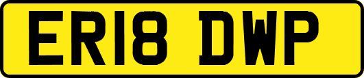 ER18DWP