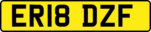 ER18DZF