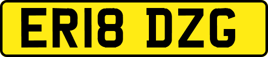 ER18DZG