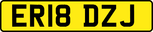 ER18DZJ