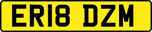 ER18DZM
