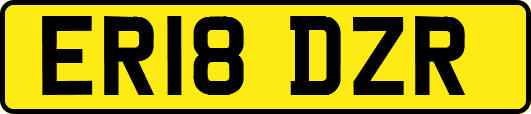 ER18DZR