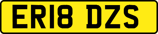 ER18DZS