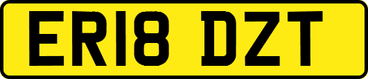 ER18DZT