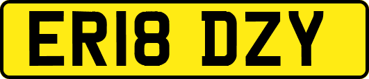 ER18DZY