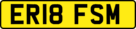 ER18FSM