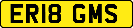 ER18GMS