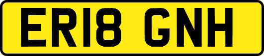 ER18GNH