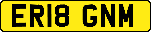 ER18GNM