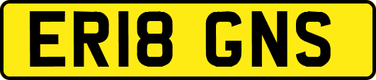 ER18GNS