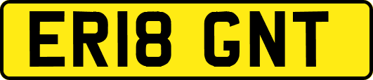 ER18GNT