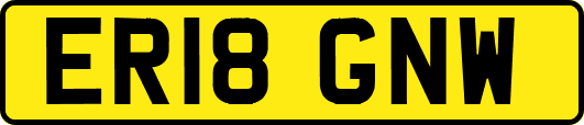 ER18GNW