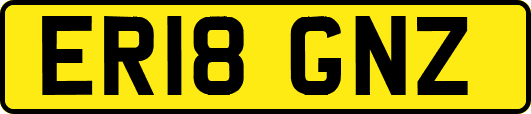 ER18GNZ