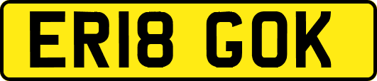 ER18GOK