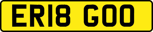 ER18GOO