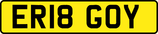 ER18GOY