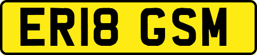 ER18GSM