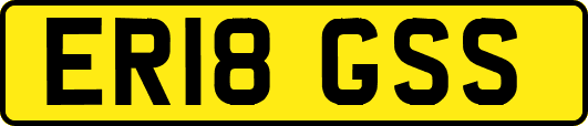 ER18GSS