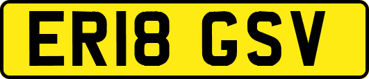 ER18GSV