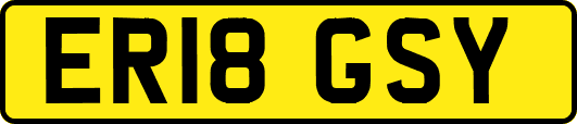 ER18GSY