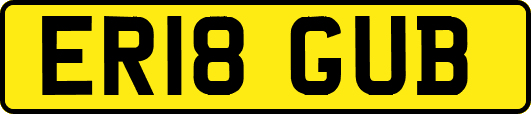 ER18GUB