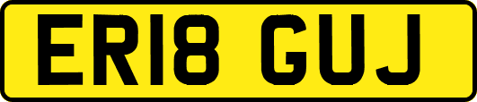 ER18GUJ
