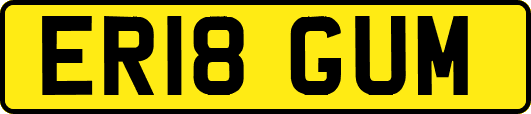 ER18GUM