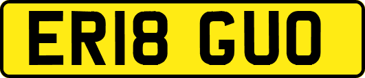 ER18GUO
