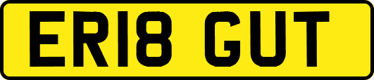 ER18GUT