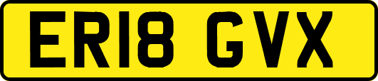 ER18GVX