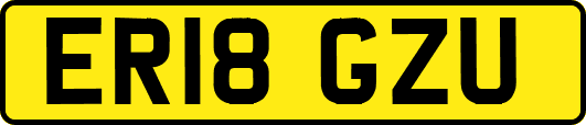 ER18GZU
