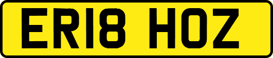 ER18HOZ