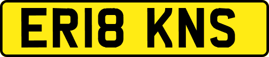ER18KNS