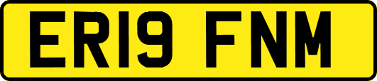 ER19FNM