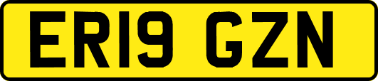 ER19GZN