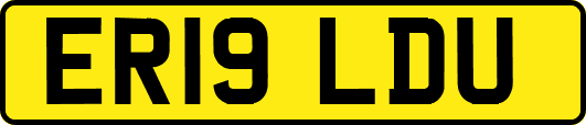 ER19LDU