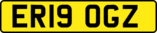 ER19OGZ