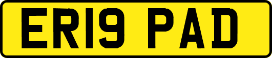 ER19PAD