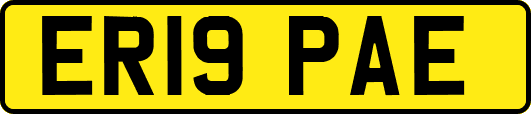 ER19PAE