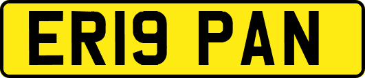 ER19PAN