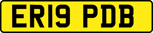 ER19PDB