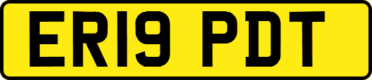 ER19PDT