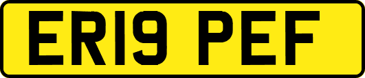 ER19PEF