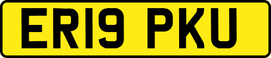 ER19PKU