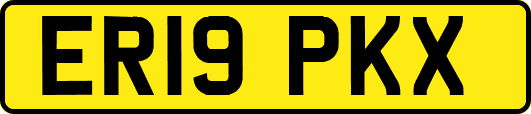 ER19PKX