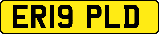 ER19PLD