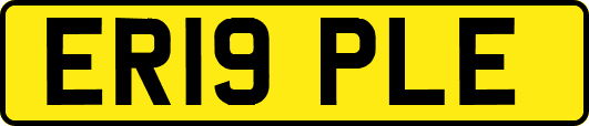 ER19PLE