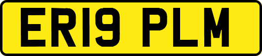 ER19PLM